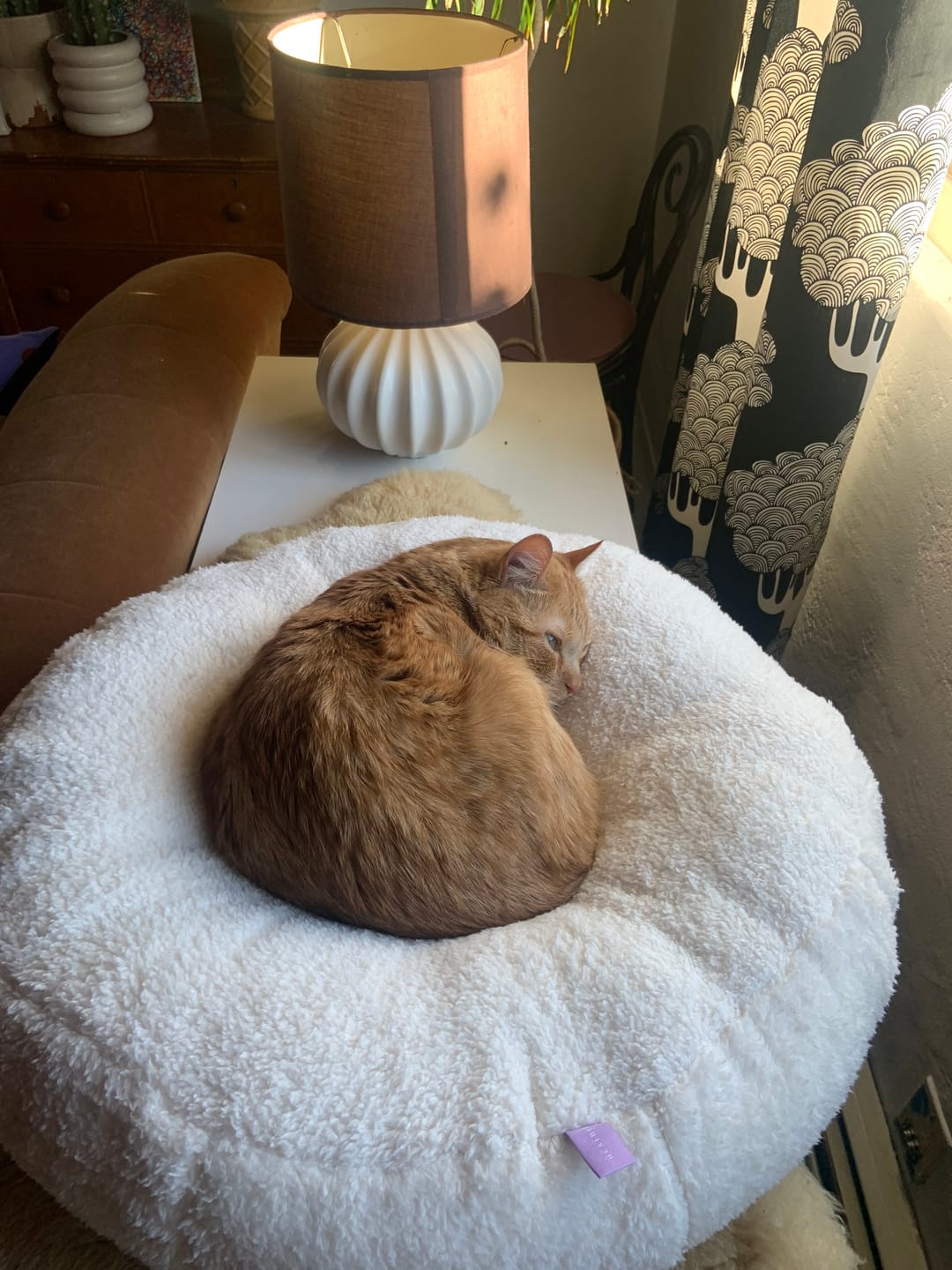 Customer photo review of Marshmallow Pudding Bed
