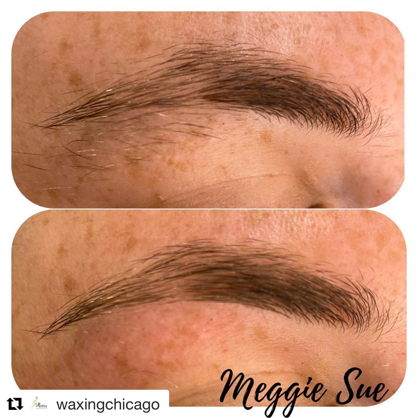Customer photo review of Moroccan Gold w/ Organic Argan Oil Soft Wax