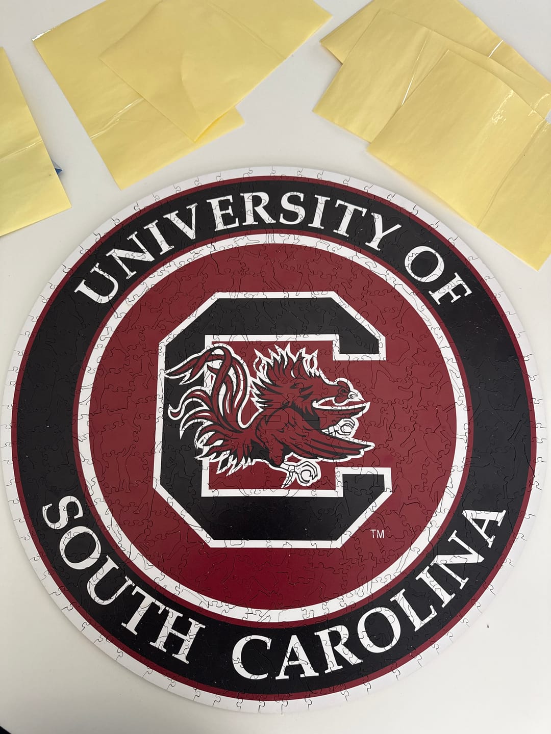 Customer photo review of University of South Carolina - Wooden Puzzle