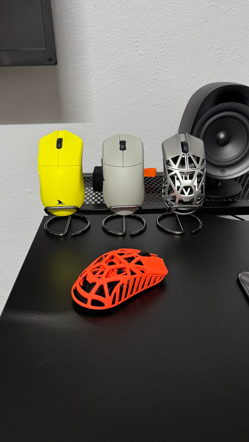 Customer photo review of WLMouse Beast X Max Magnezyum Wireless Mouse