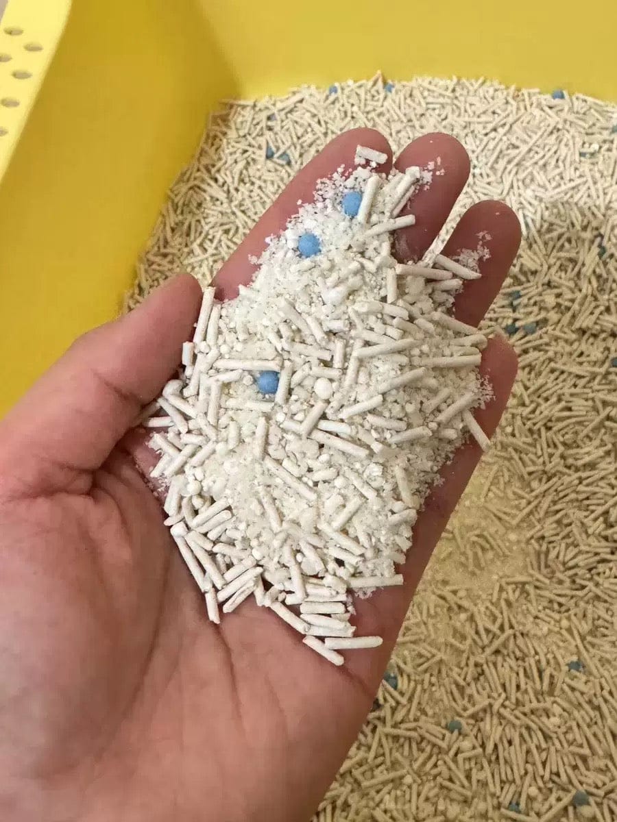 Customer photo review of 五吉貓 木薯科學貓砂 2.5KG
