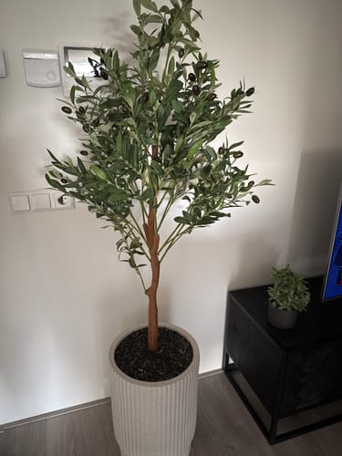 Customer photo review of Kunst Olijfboom 150cm