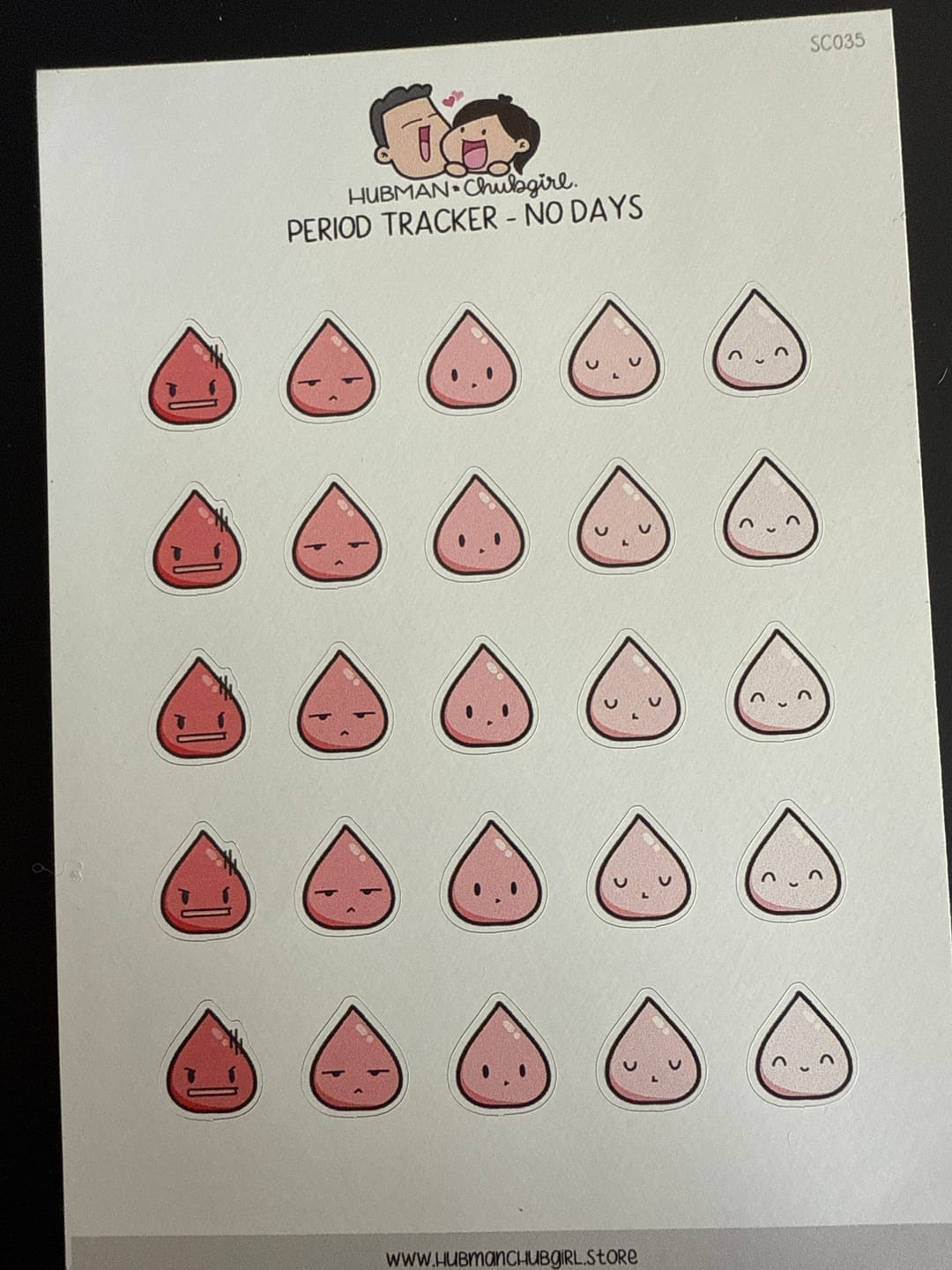 Customer photo review of Period Tracker Planner Stickers - No days