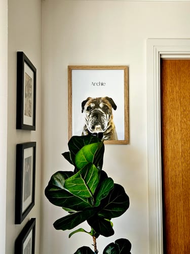 Customer photo review of Detailed Pet Portrait