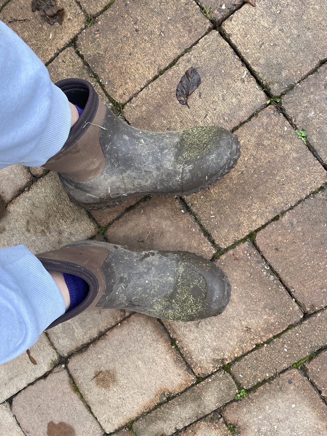 Customer photo review of Herren Muckster II Ankleboots | Bark/Otter