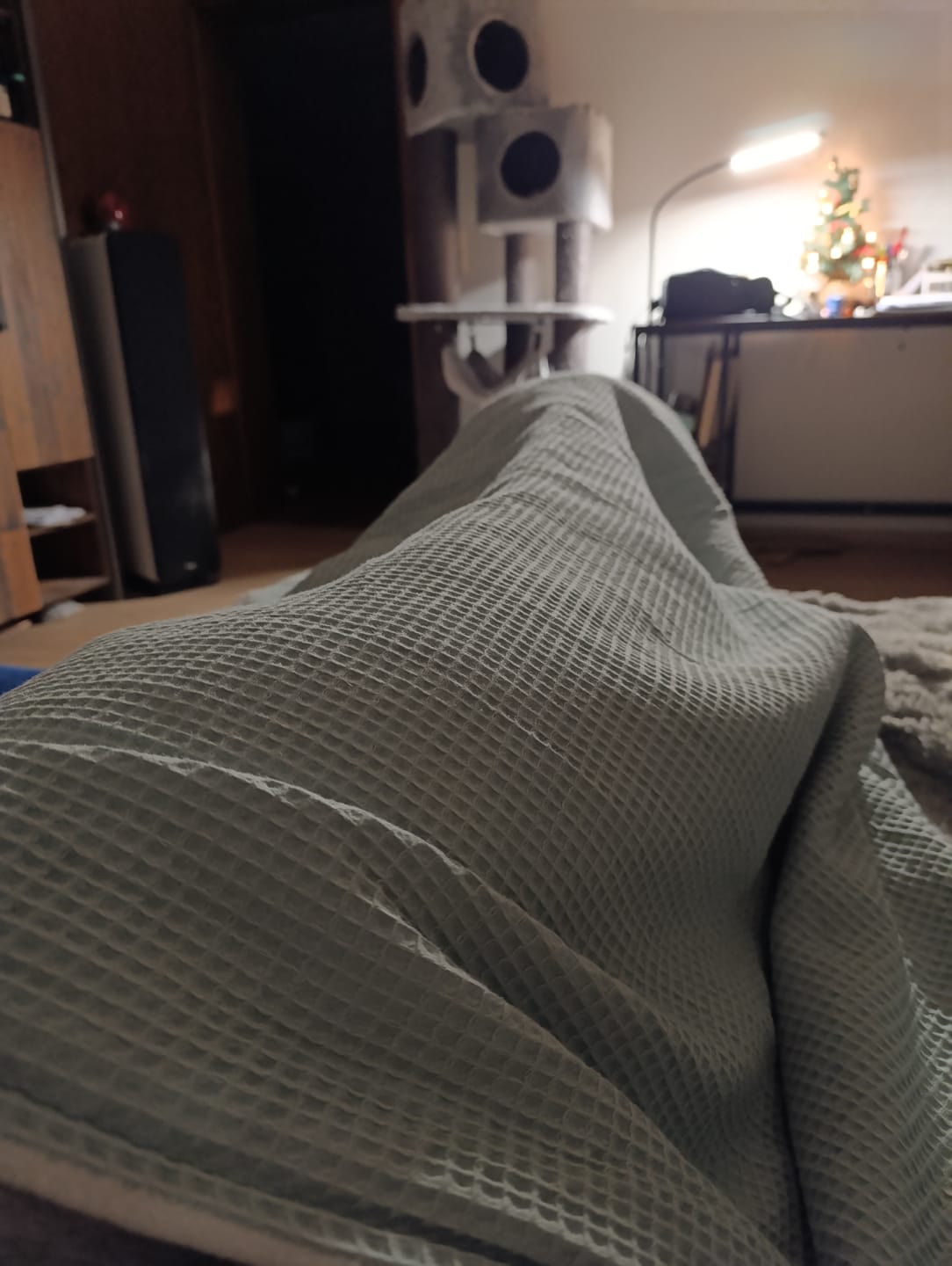 Customer photo review of Kuscheldecke "Vollkommen" Mint • Sandweiß