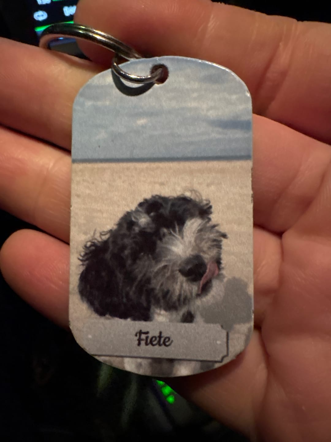 Customer photo review of Doppeltes Foto - Individueller Dog Tag Schlüsselanhänger