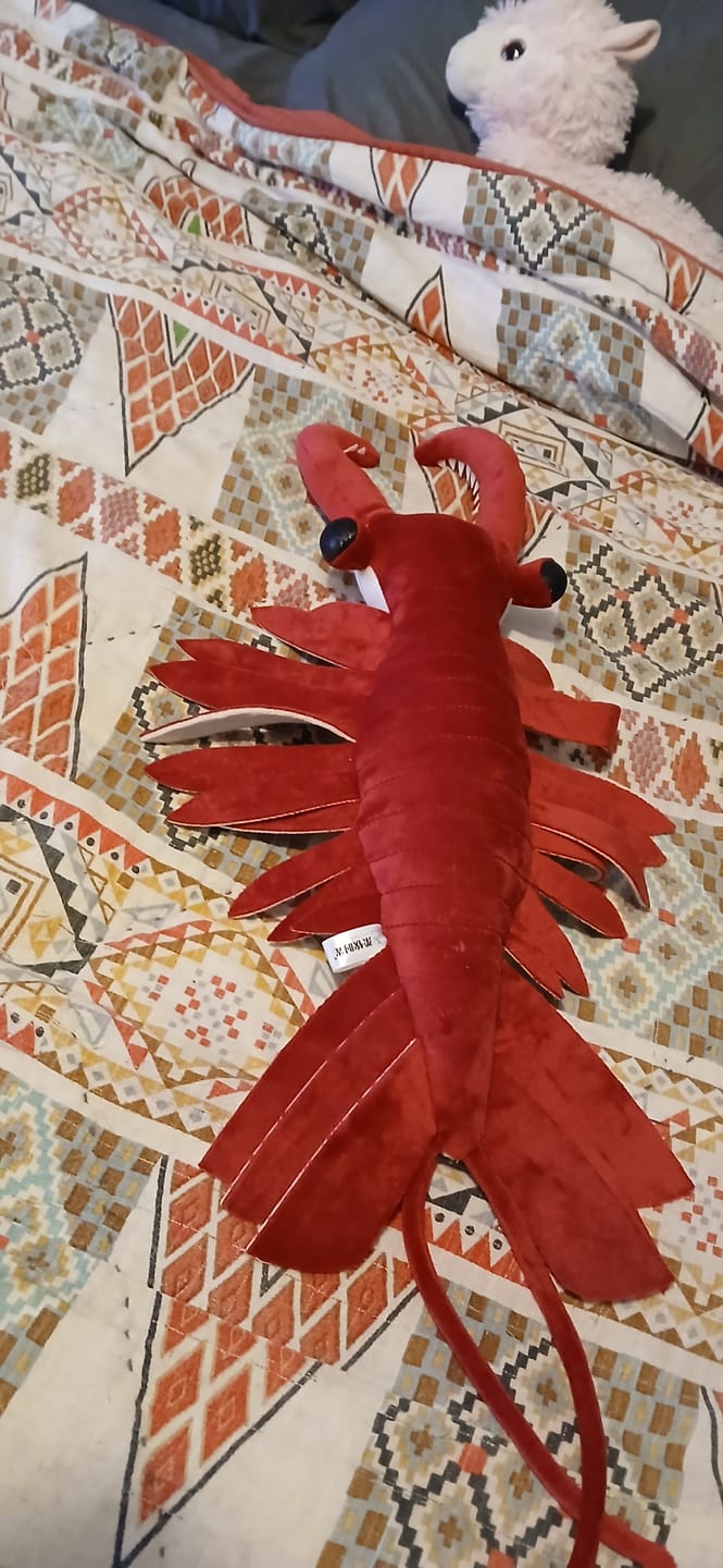Customer photo review of Anomalocaris Arthropod Soft Stuffed Plush Toy