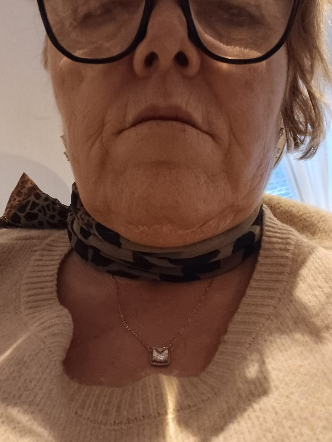 Customer photo review of Silver Timeless Necklace