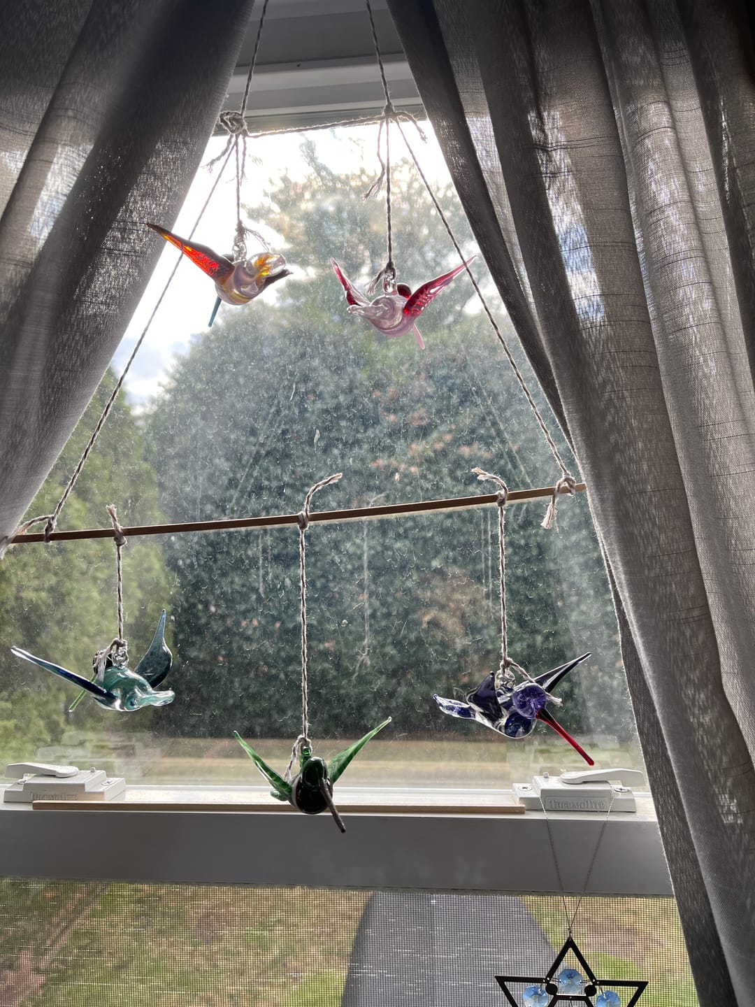 Customer photo review of Aqua Glass Hummingbird with Infused Ash