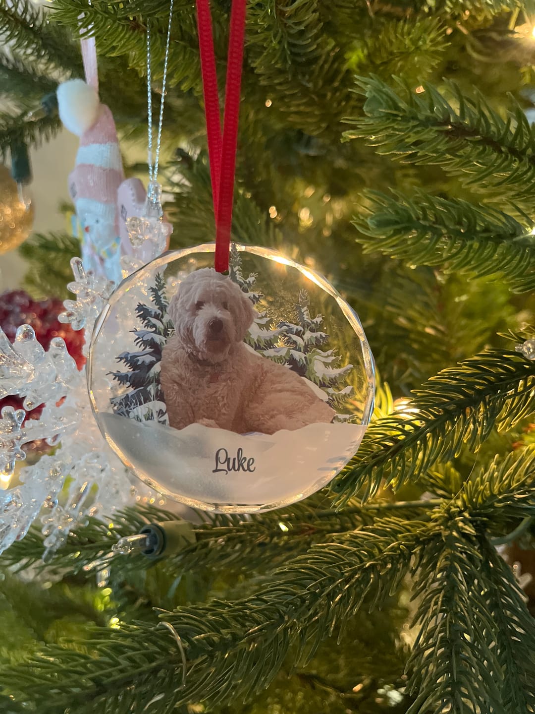Customer photo review of Personalized Photo Dog Glass Ornament For Christmas
