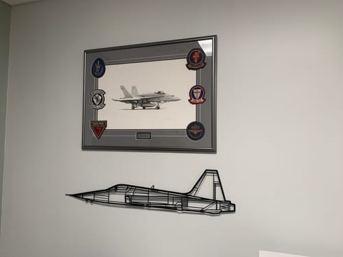 Customer photo review of F-5 Silhouette Metal Wall Art