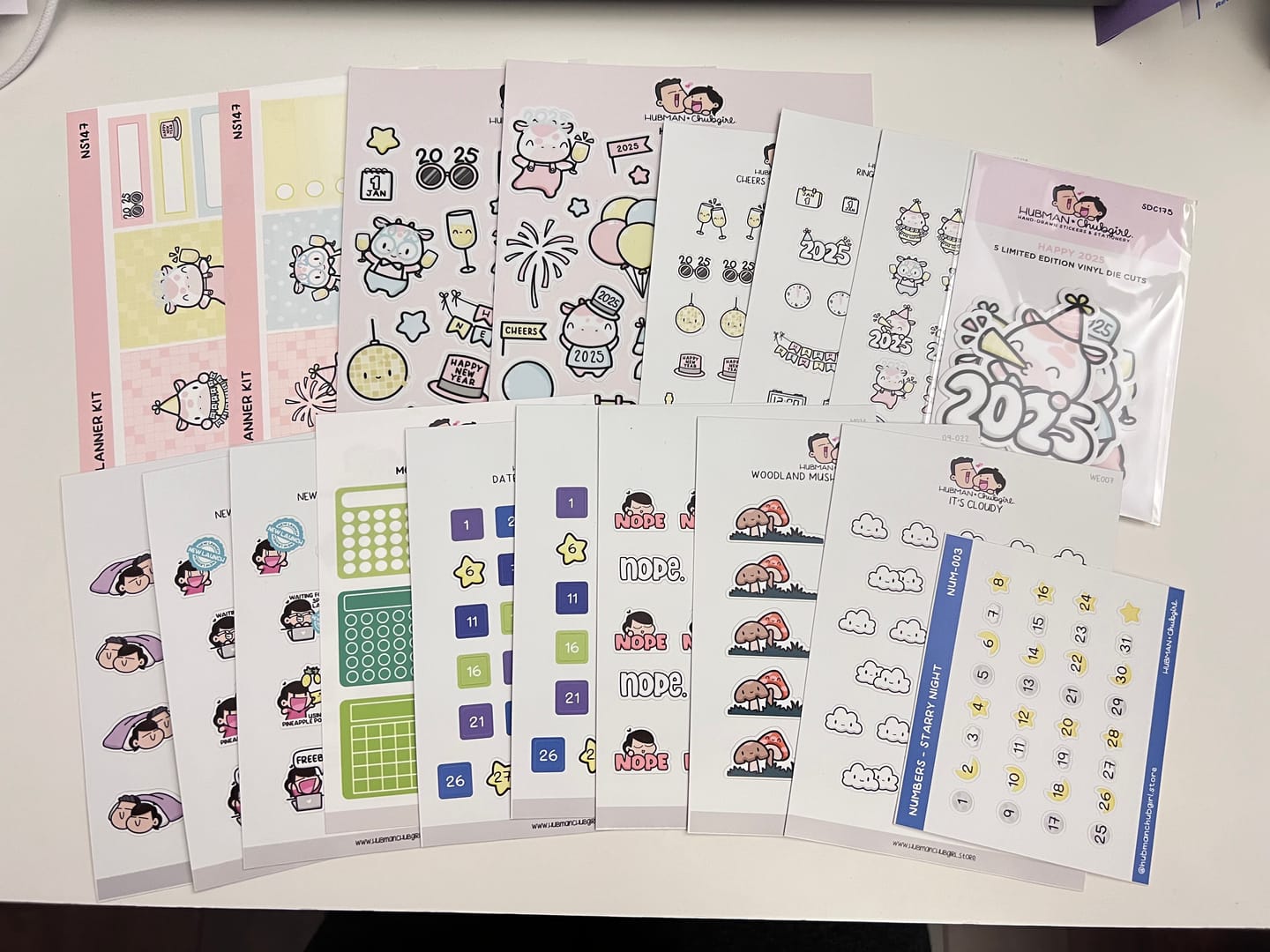 Customer photo review of Nope Planner Stickers