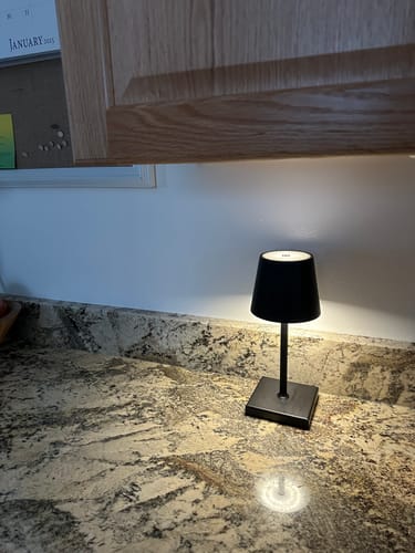 Customer photo review of Mini Luminar