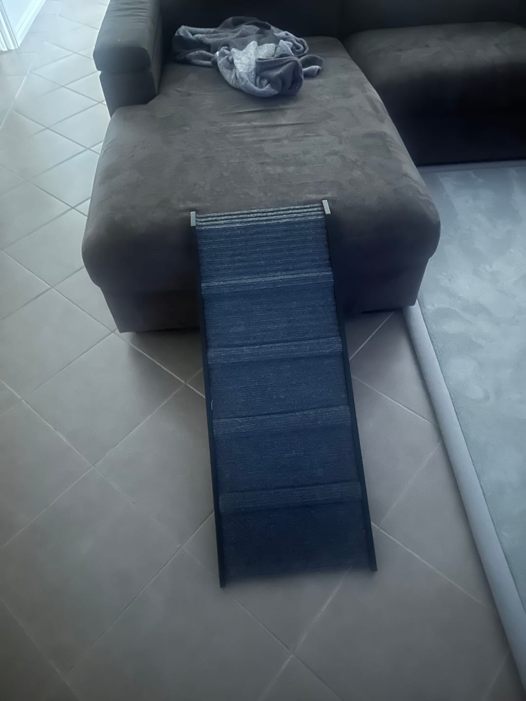 Customer photo review of PaWz Adjustable Dog Ramp