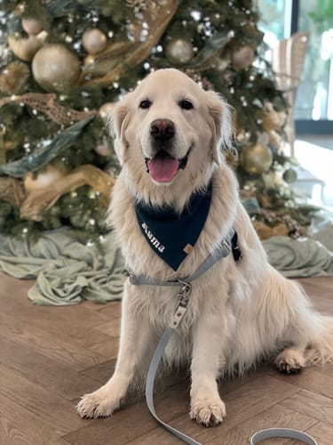 Customer photo review of Custom Name Embroidered Bandana