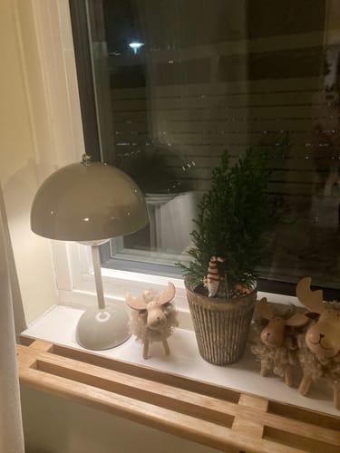 Customer photo review of Bordslampa - Svamplampa Flowerbud - Batteridriven 5000 mAH