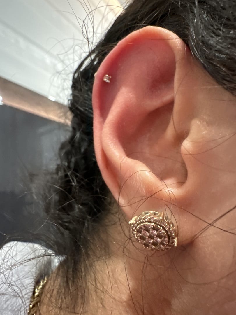 Customer photo review of 14K Gold Rose Cut Cubic 4 pronged Cartilage Earring 20G18G16G