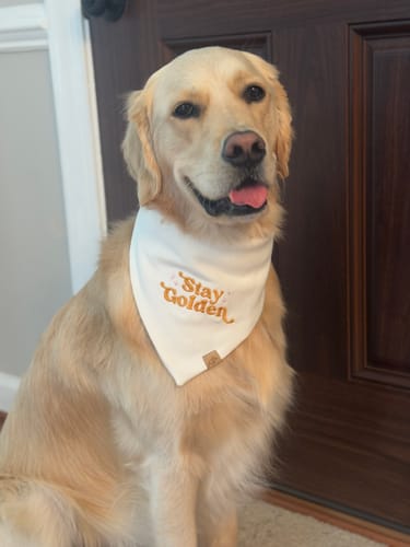 Customer photo review of Stay Golden Embroidered Bandana