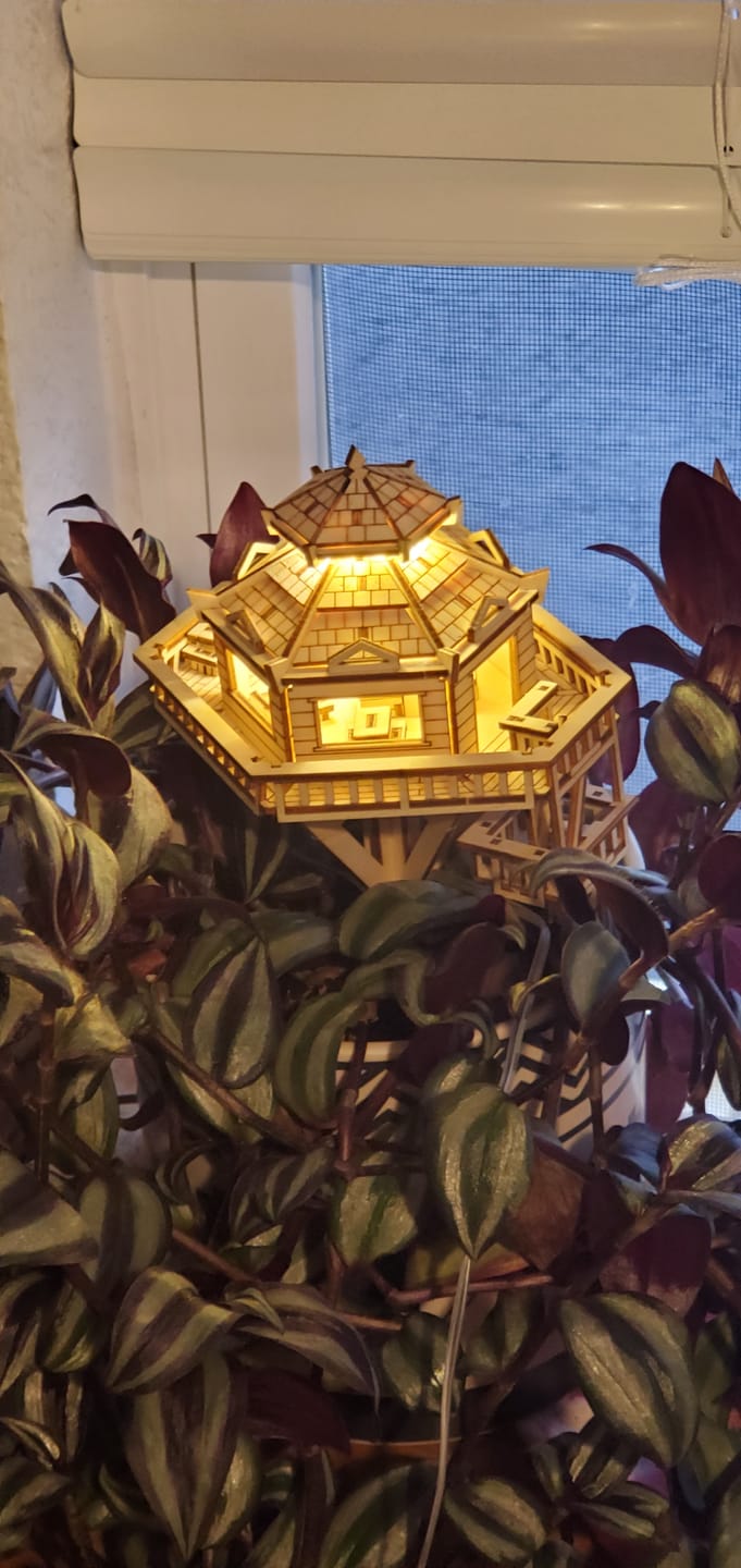 Customer photo review of Woodland Outpost