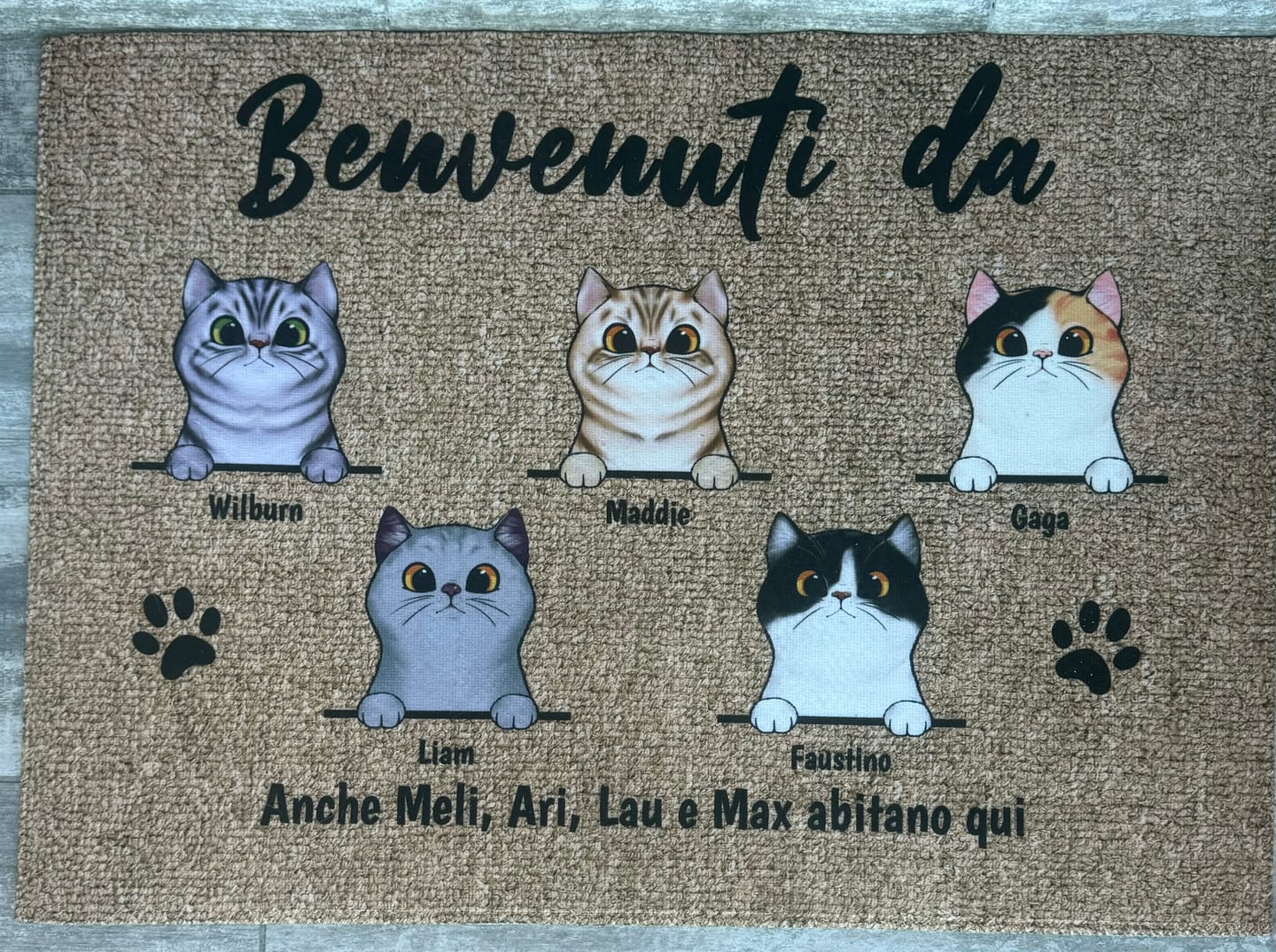 Customer photo review of Benvenuti da gatti curiosi - Zerbino personalizzato