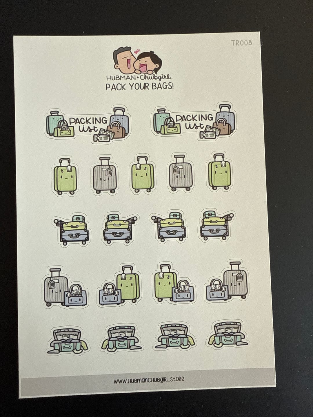 Customer photo review of Pack Your Bags Planner Stickers