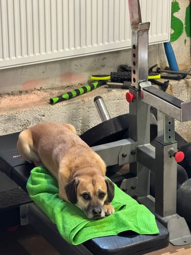 Customer photo review of Personalisiertes Handtuch mit Namen für Erwachsene bestickt