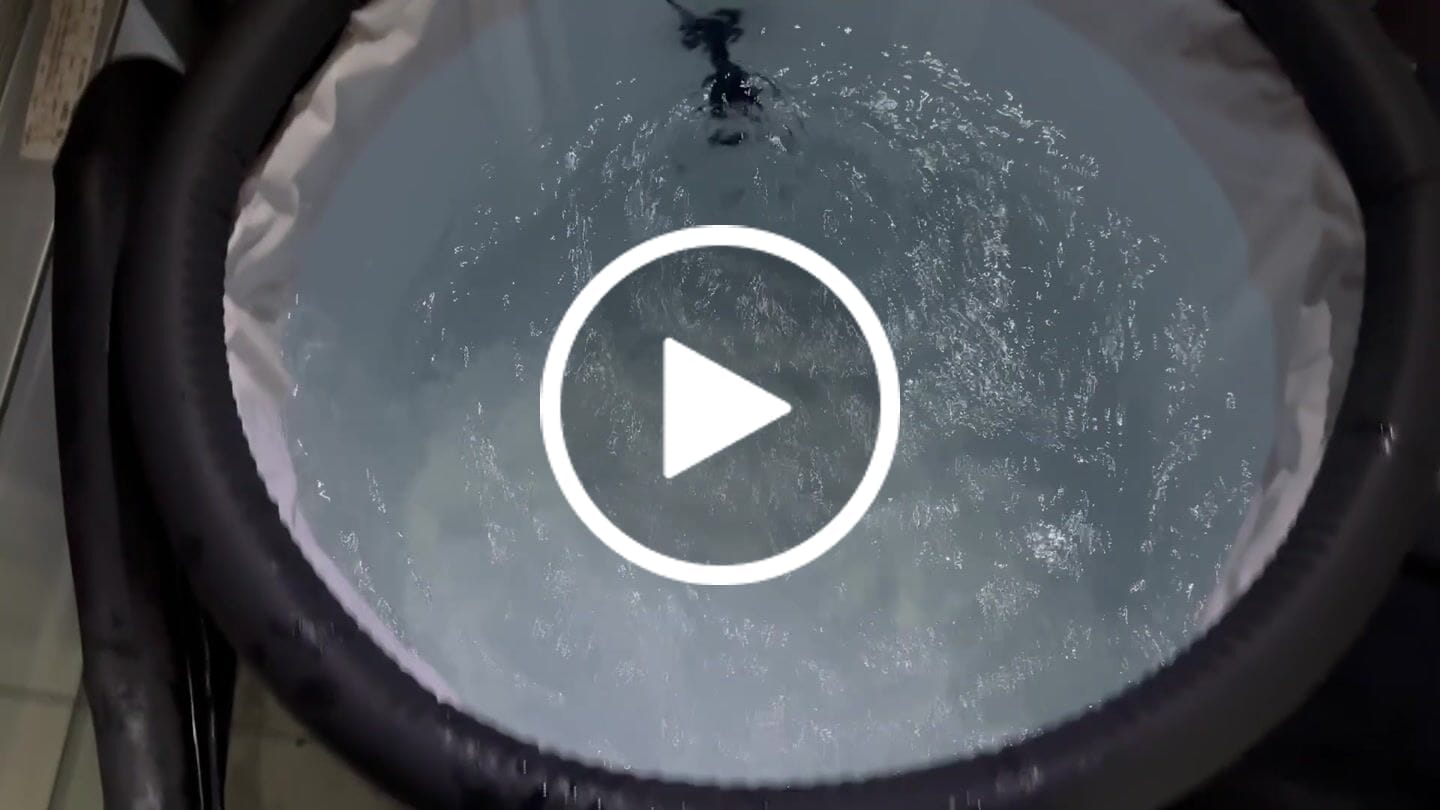 Customer video review of Water Circulation Jet
