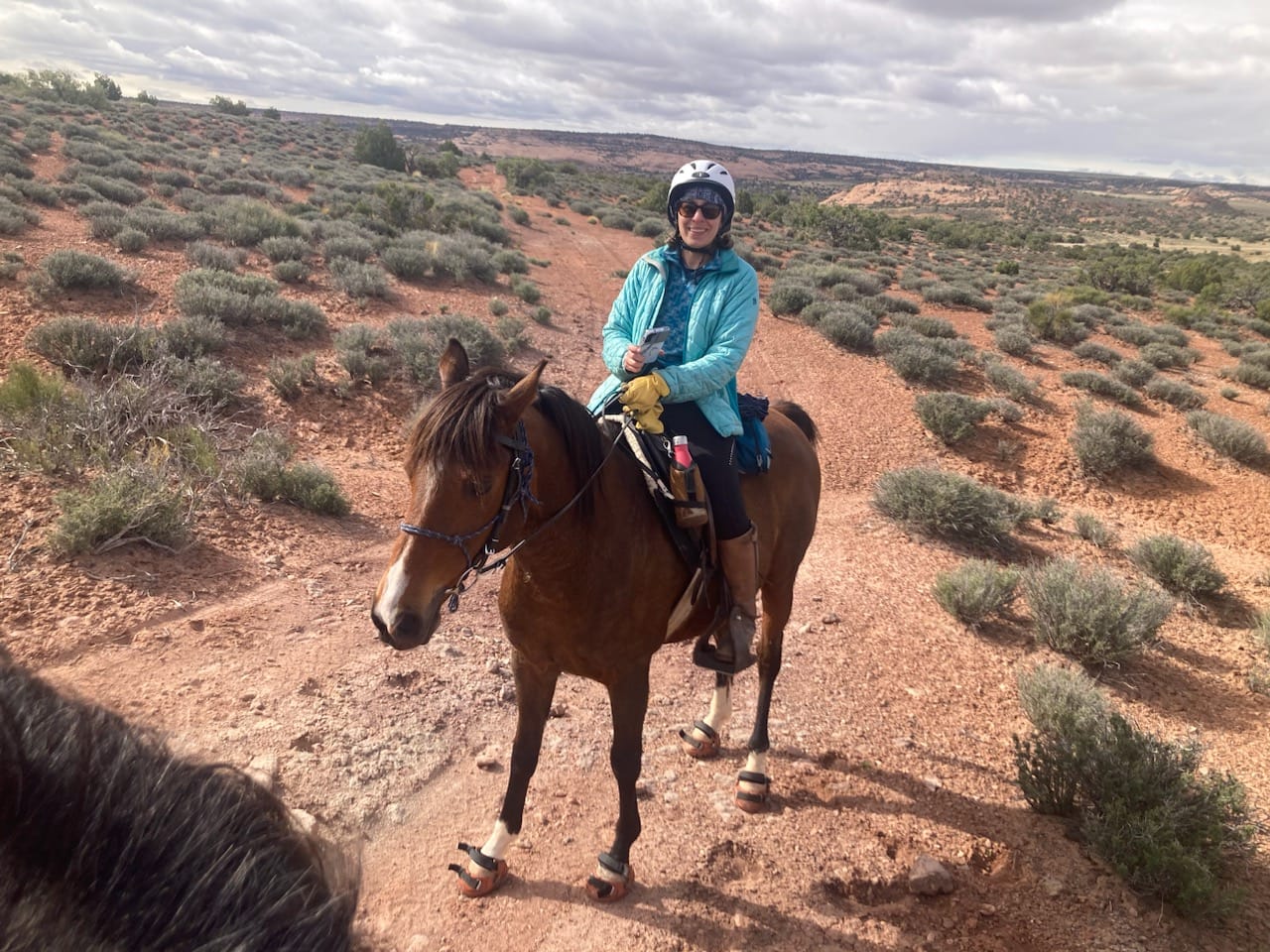 Customer photo review of Renegade® Viper® Arizona Copper - 125x115