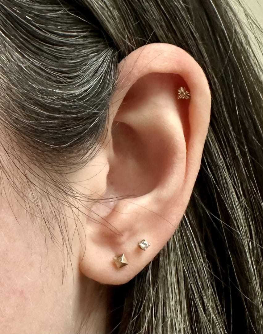 Customer photo review of 14K Gold Internally Bee Labret Piercing 18G16G