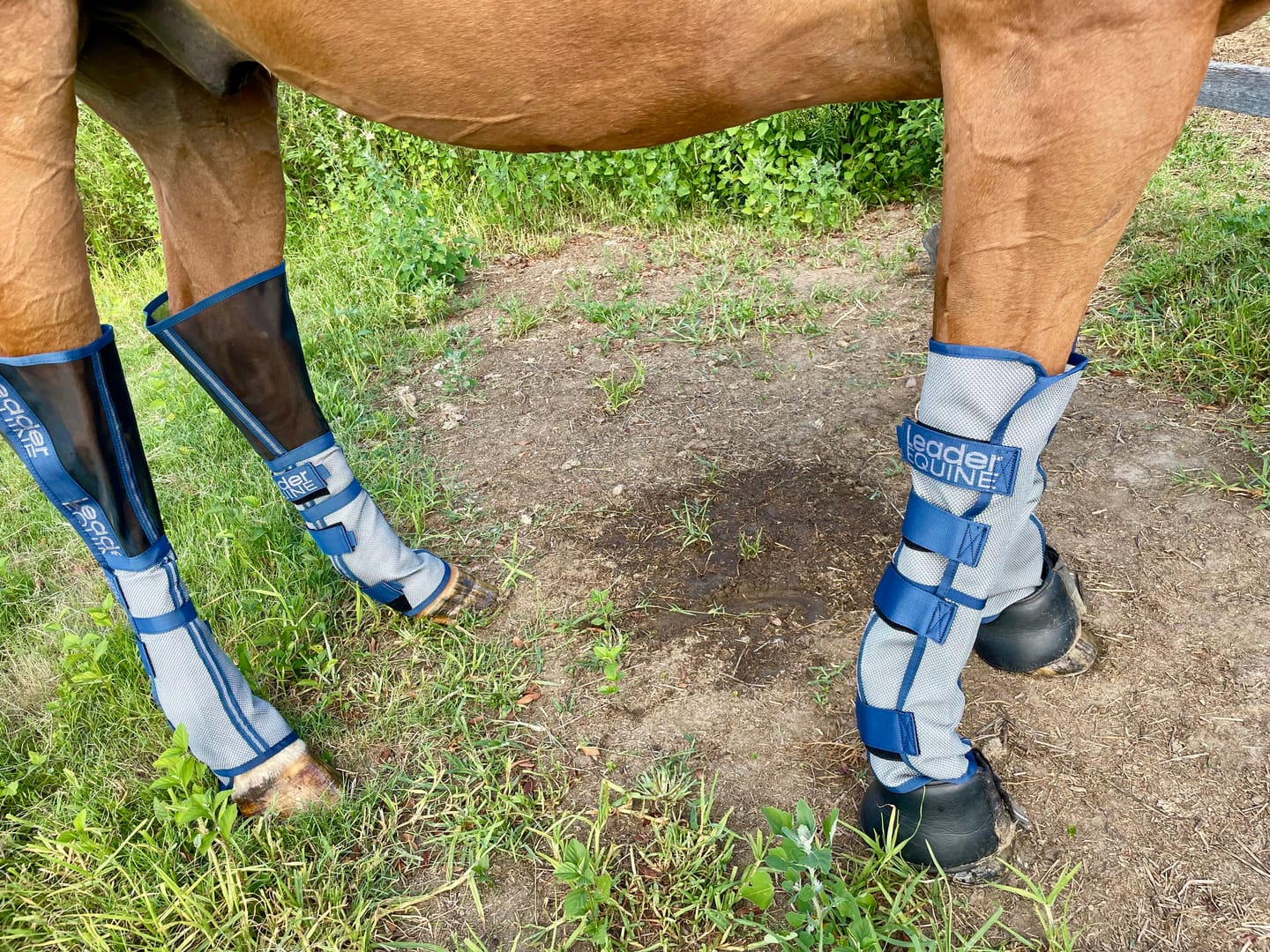Customer photo review of LE Defender Fly Boots