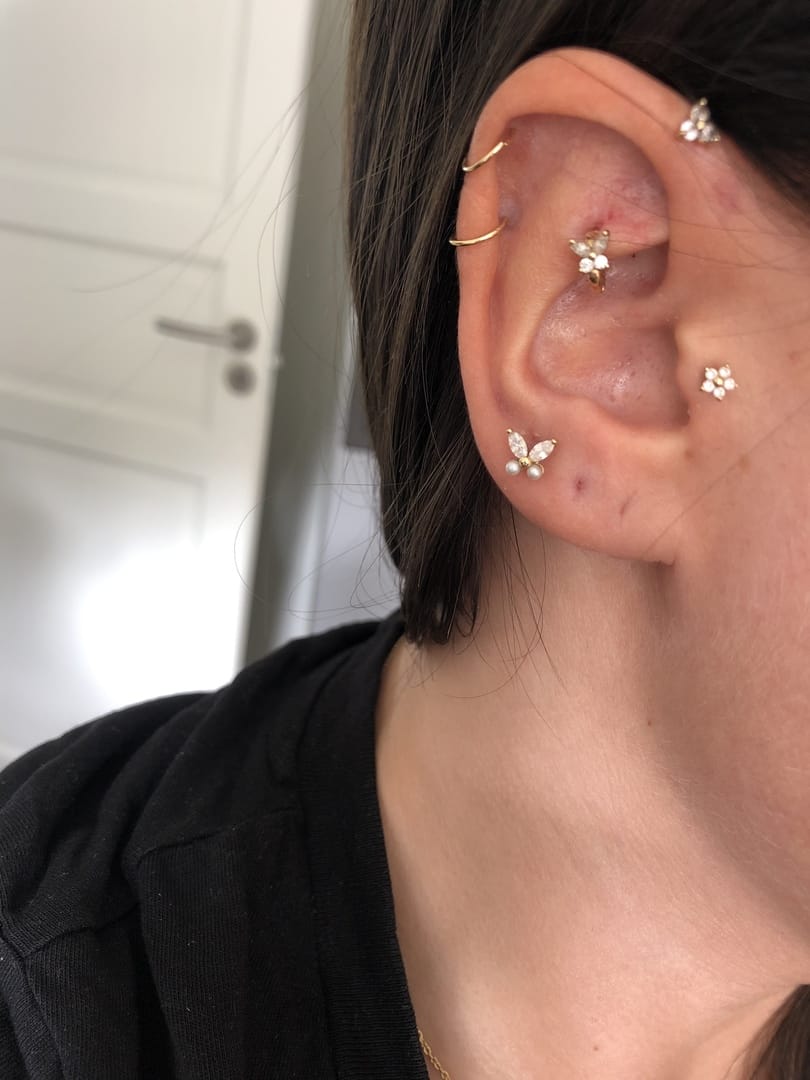 Customer photo review of 14K Gold Mini Cubic Butterfly Hoop Earring