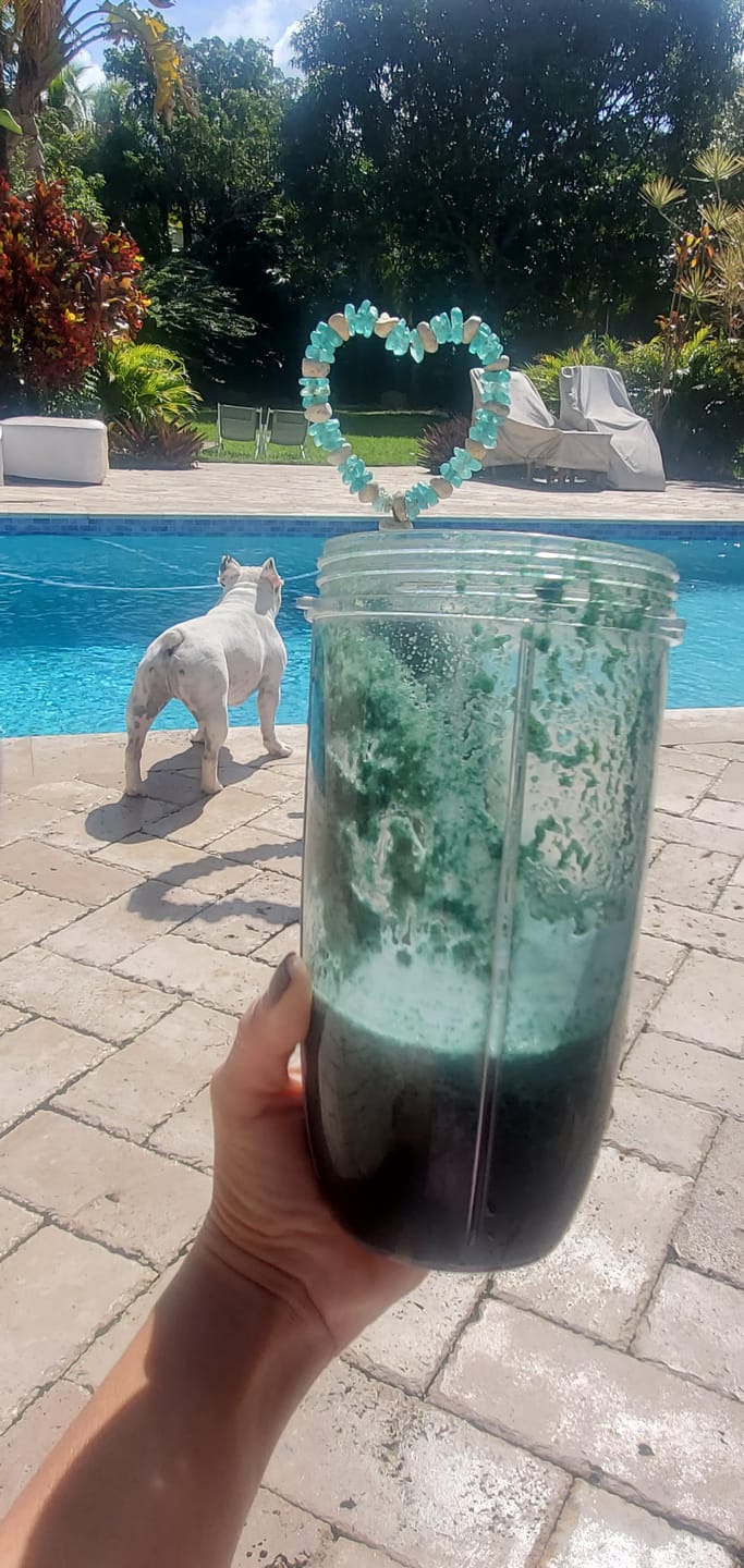 Customer photo review of Fresh Spirulina SimpliiGood