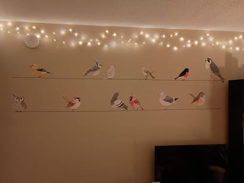 Customer photo review of Birdies