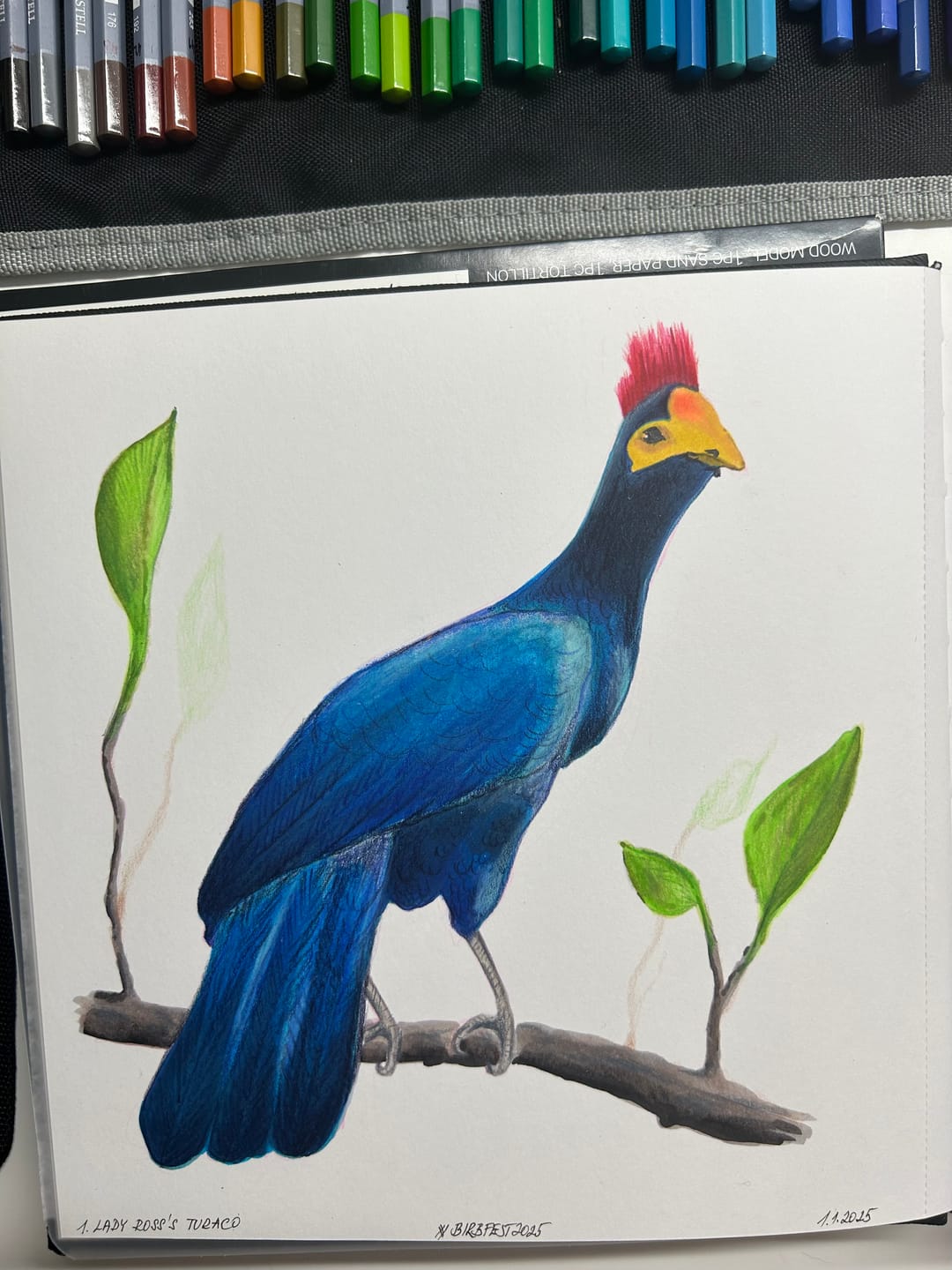 Customer photo review of Ohuhu Marker Pads Art Sketchbooks for Markers, 2 Pack