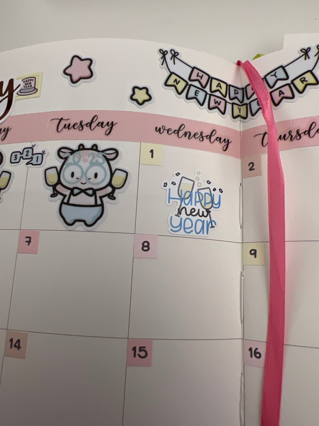 Customer photo review of Holidays Planner Stickers Set