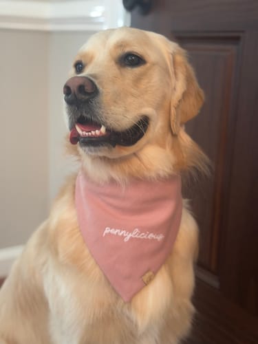 Customer photo review of Custom Saying Embroidered Bandana