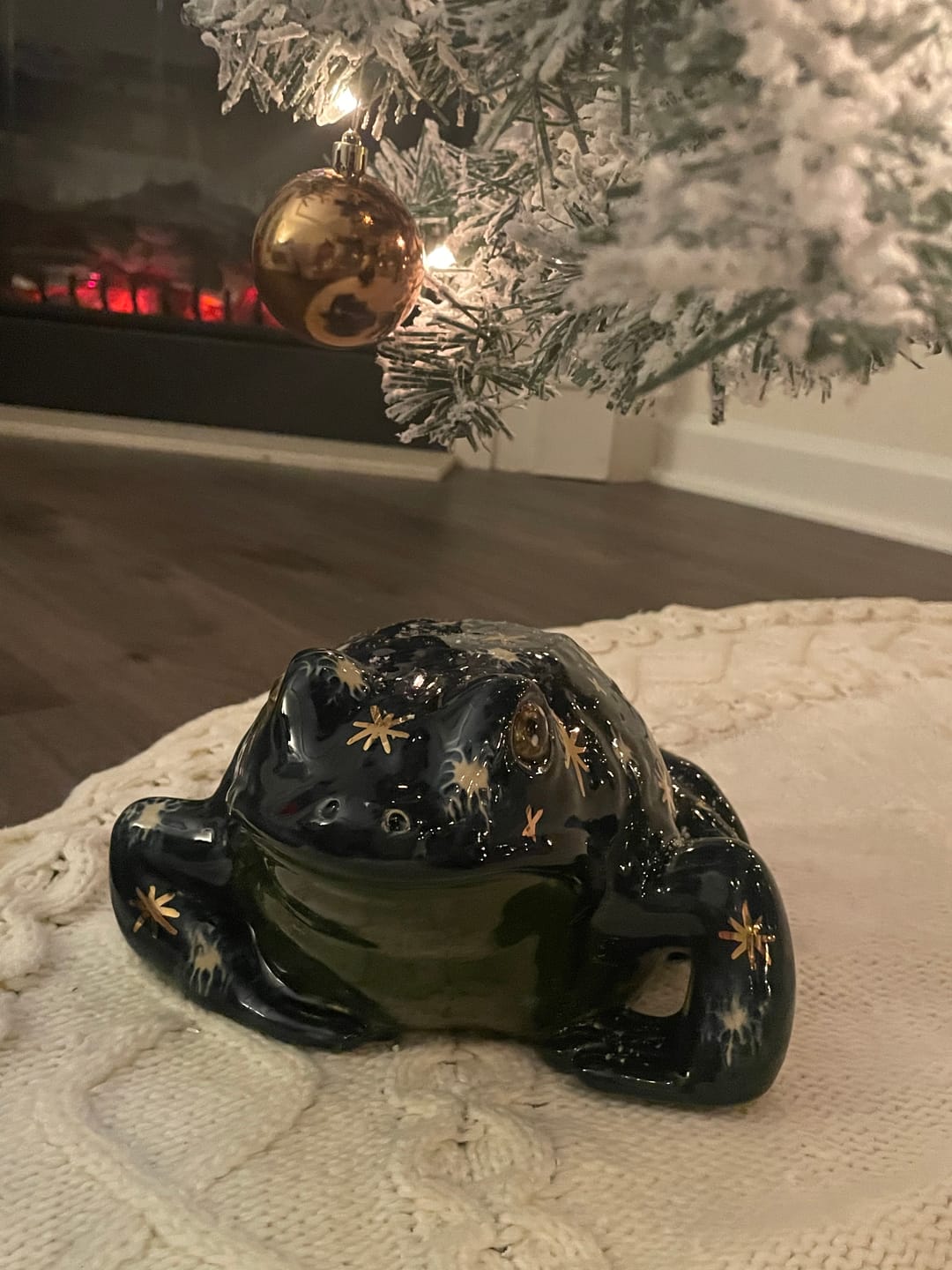 Customer photo review of Chilliam the Winter Sky Frog