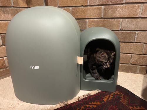 Customer photo review of Makesure Cat Litter Box MAX