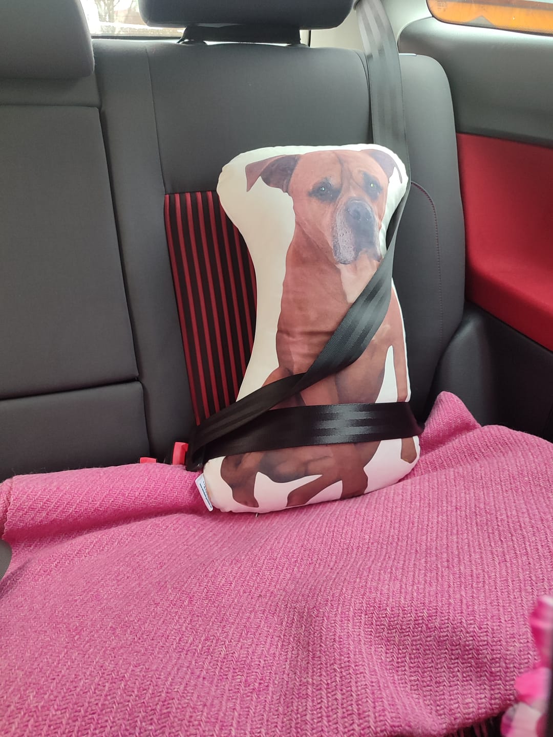 Customer photo review of Personalisiertes Hundekissen