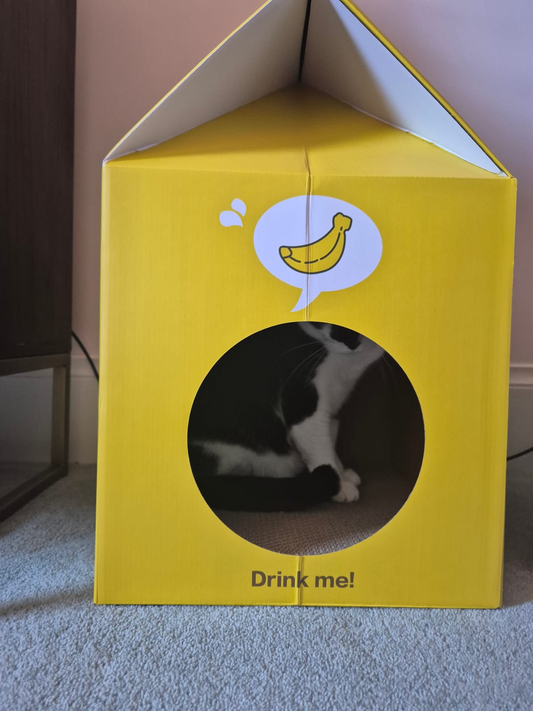 Customer photo review of Misspet Milk Box | Cat Scratcher and Nest