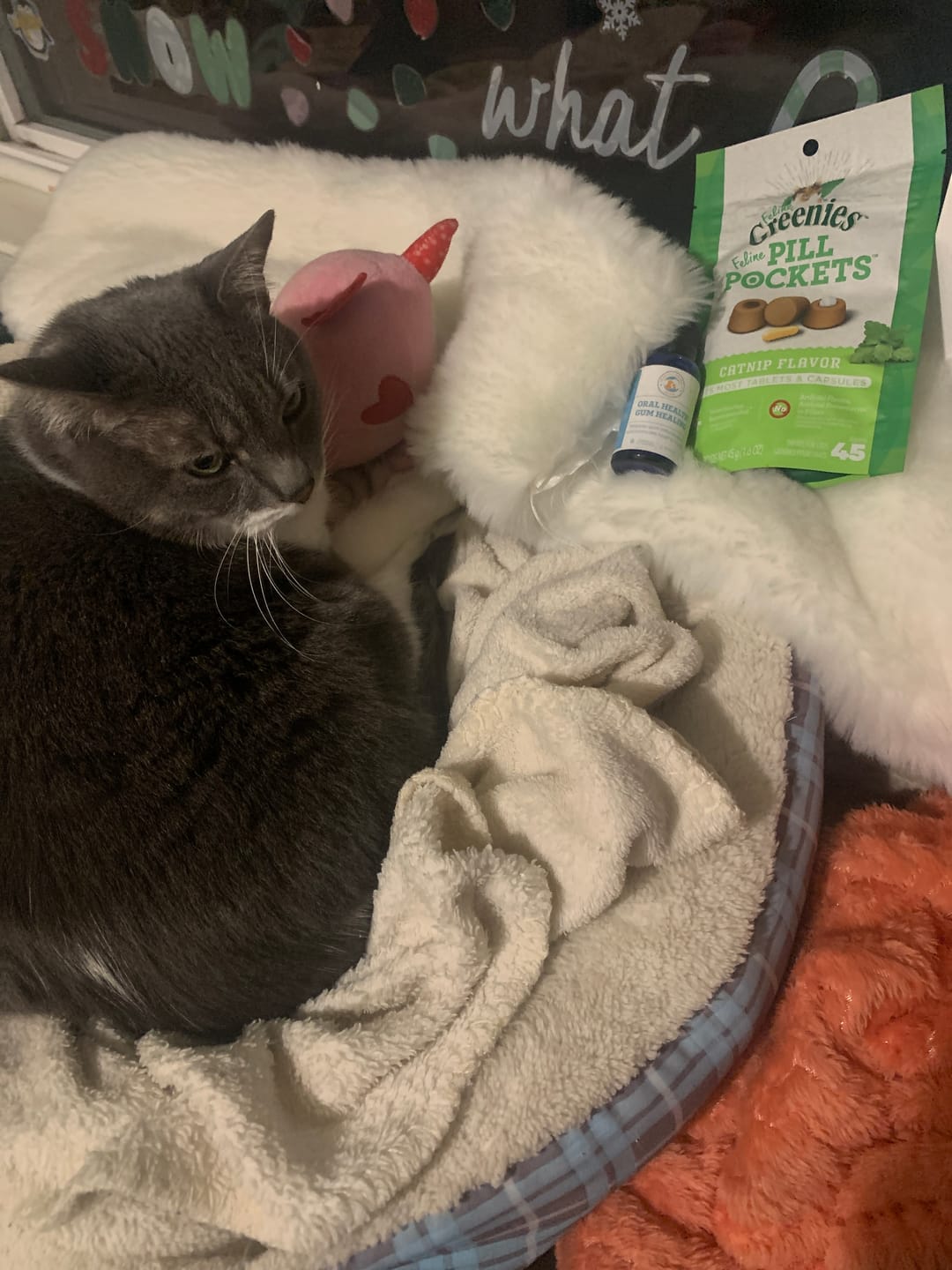 Customer photo review of Oral Health Gum Healing Formula for Cats, 300 Tablets, 30-Day Supply