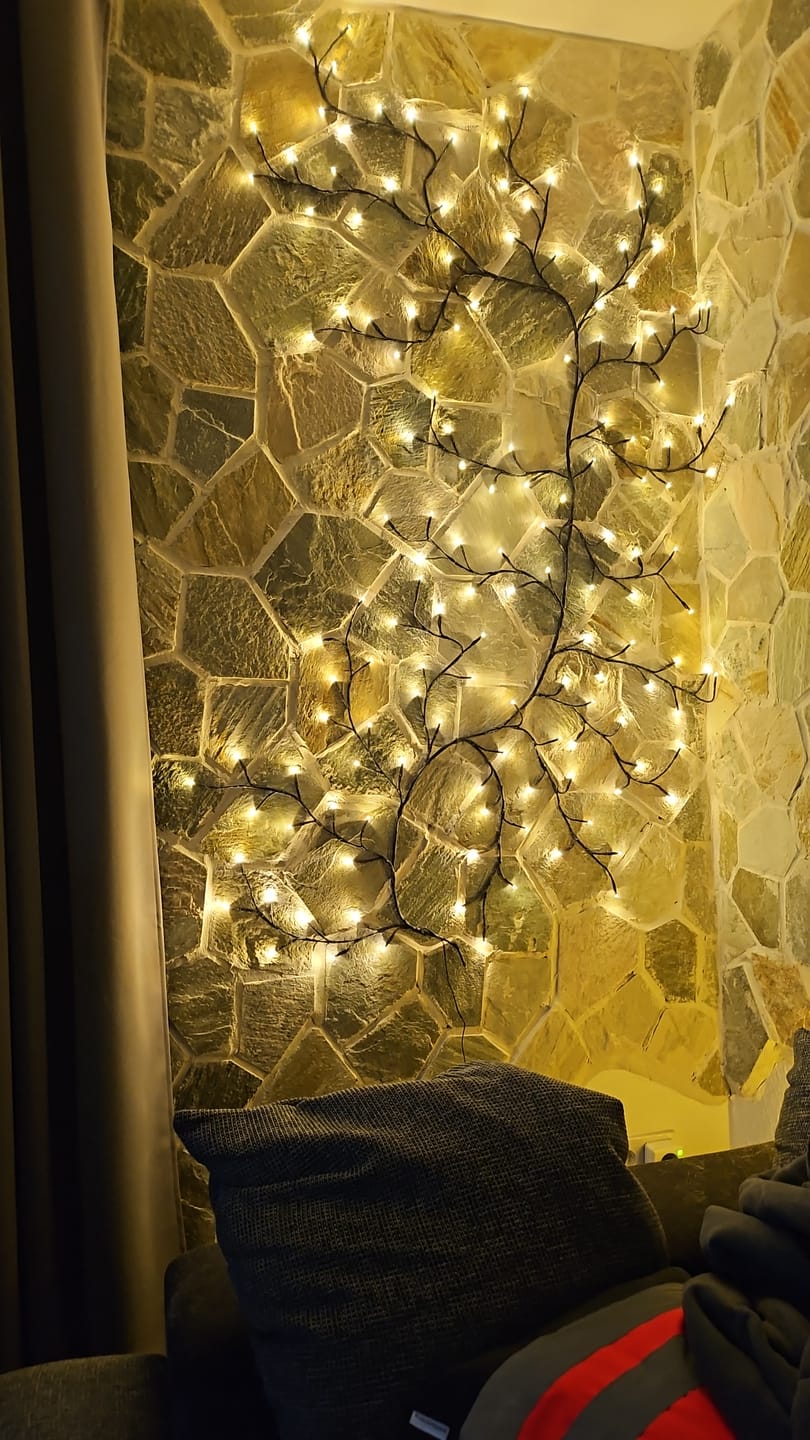 Customer photo review of Bäumlein® - Weinrebe mit 144 LED's