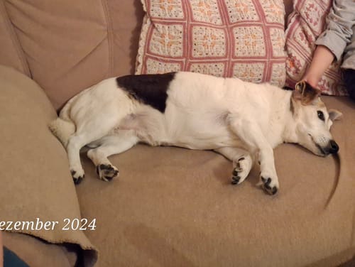 Customer photo review of Pure Genius