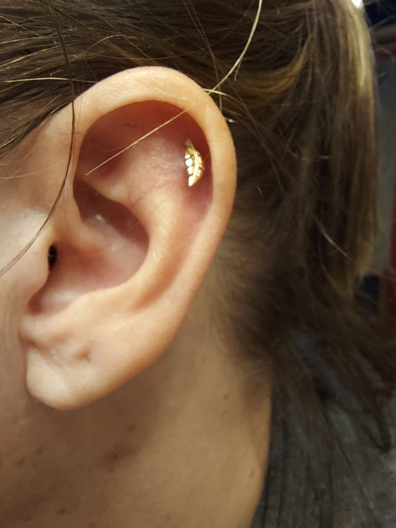 Customer photo review of 14K Gold Leaf Cartilage Earring 18G16G
