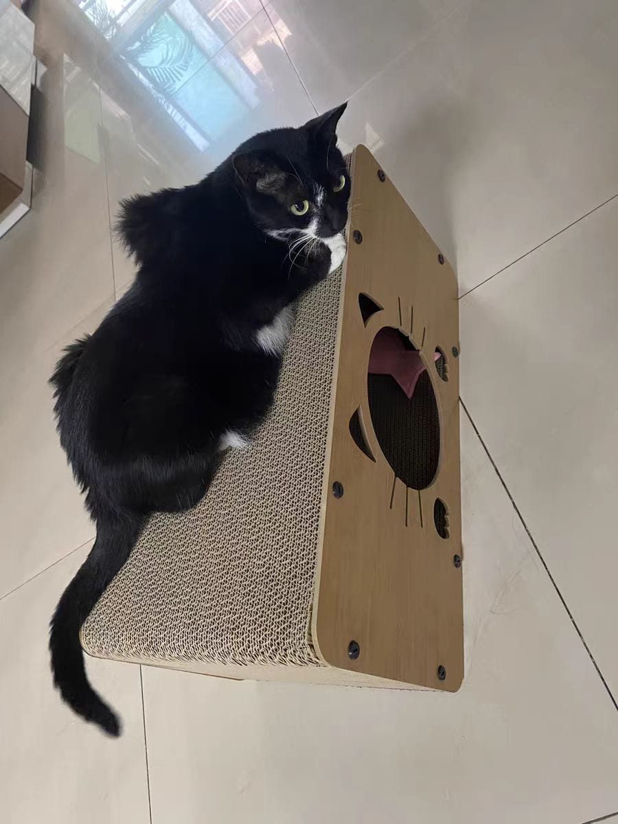 Customer photo review of Niche pour chat Odyssée Féline