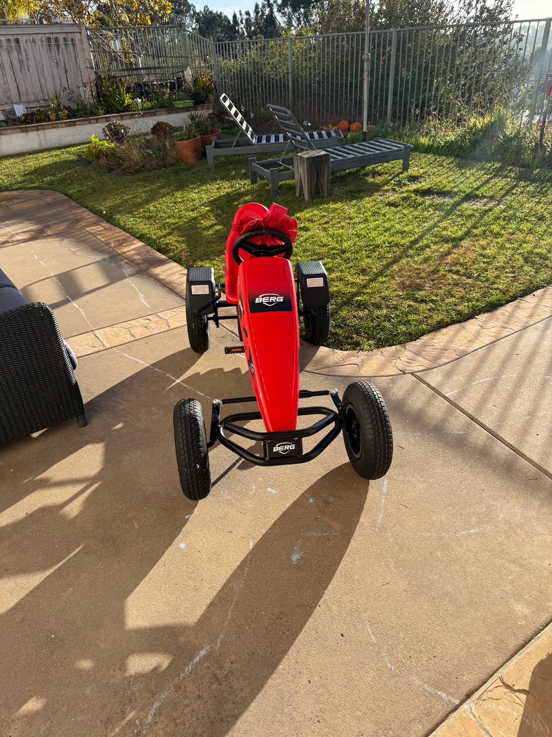 Customer photo review of BERG B.Super Red