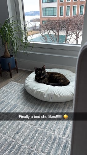 Customer photo review of Vanilla Pudding Bed