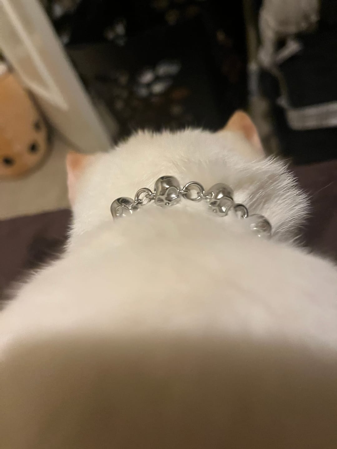 Customer photo review of 10 STAGES OF ADDICTION BRACELET