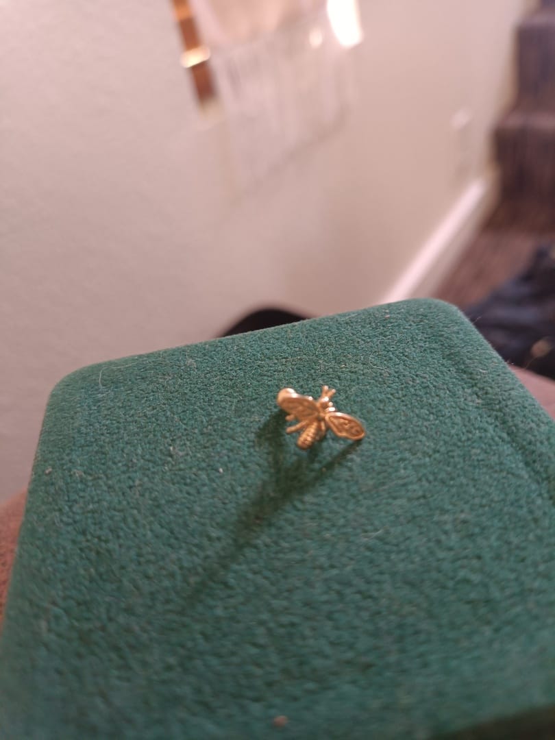 Customer photo review of 14K Gold Queen Baby Bee Cartilage Earring 20G18G16G